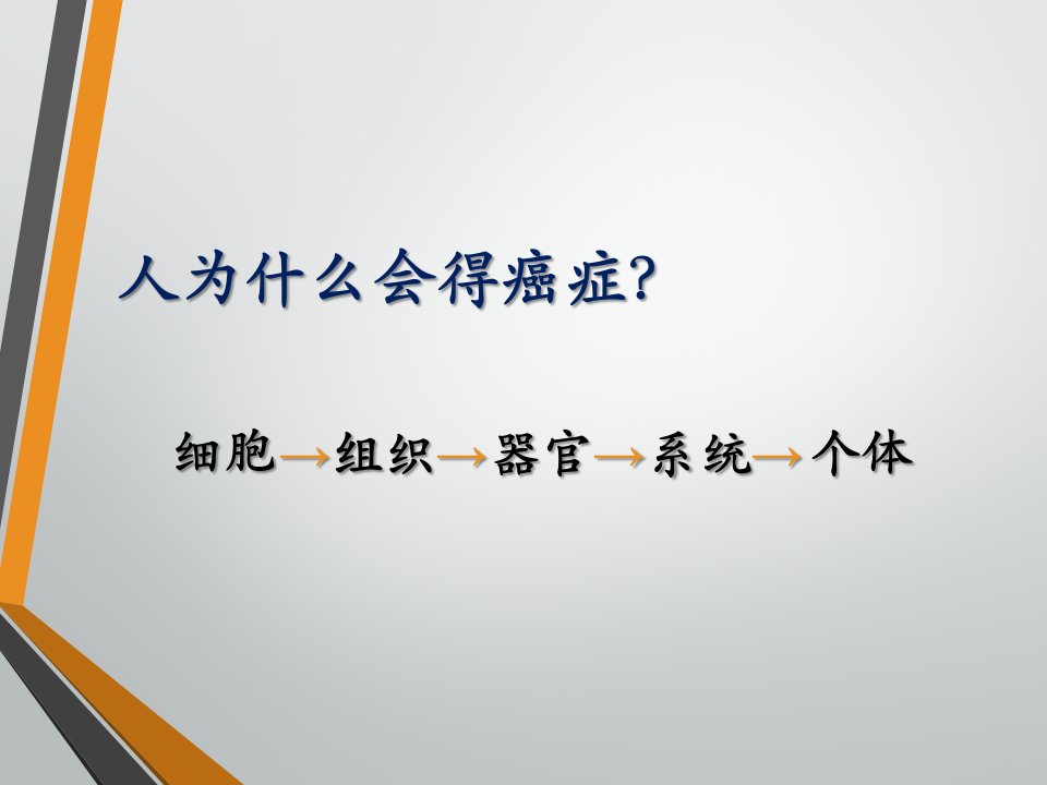 细胞的癌变演示文档