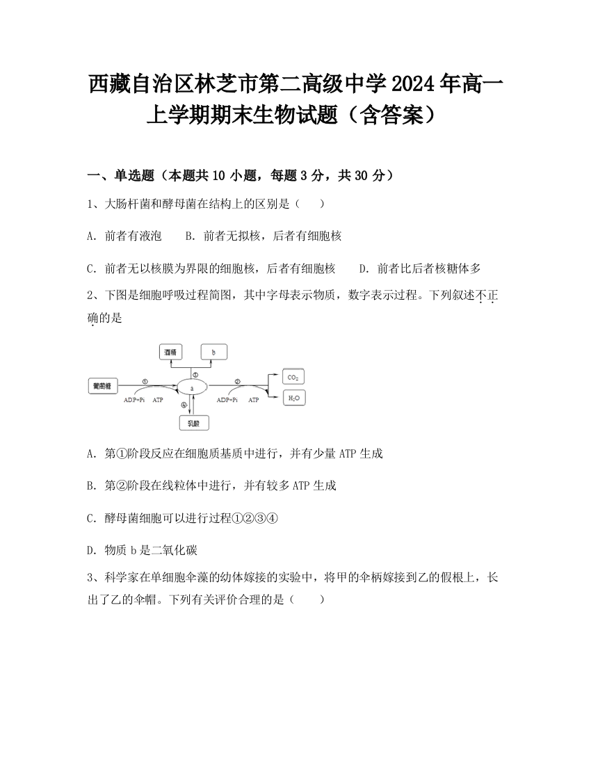 西藏自治区林芝市第二高级中学2024年高一上学期期末生物试题（含答案）