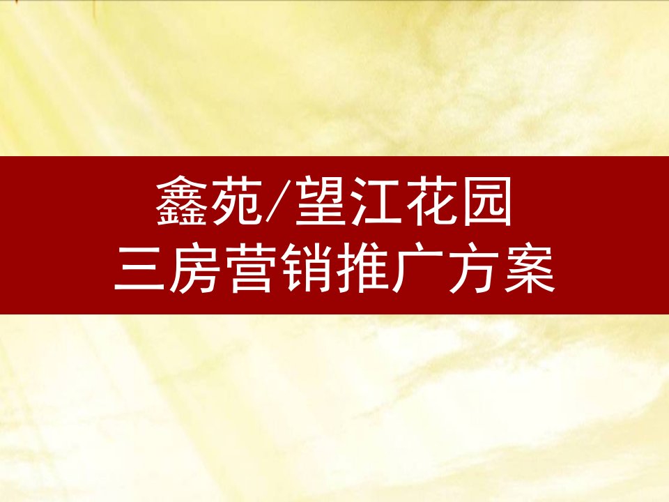 鑫苑望江花园三房营销推广方案2