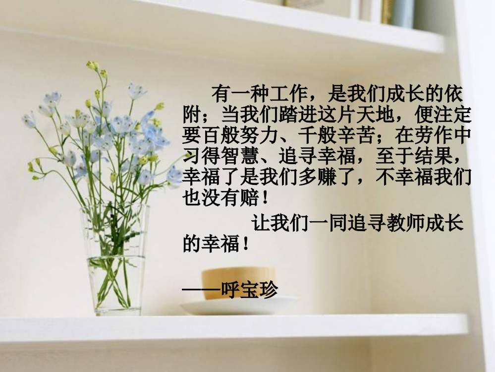 呼宝珍课件教师专业成长的实践追求-1