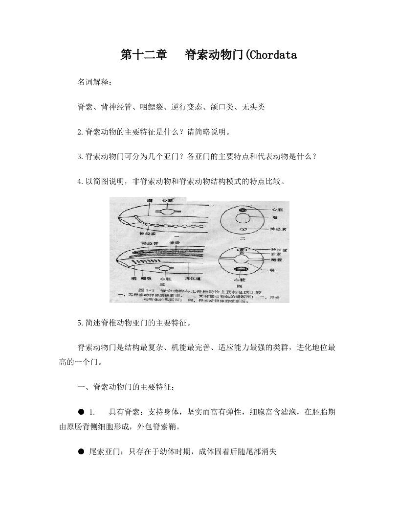 脊索动物门与圆口纲