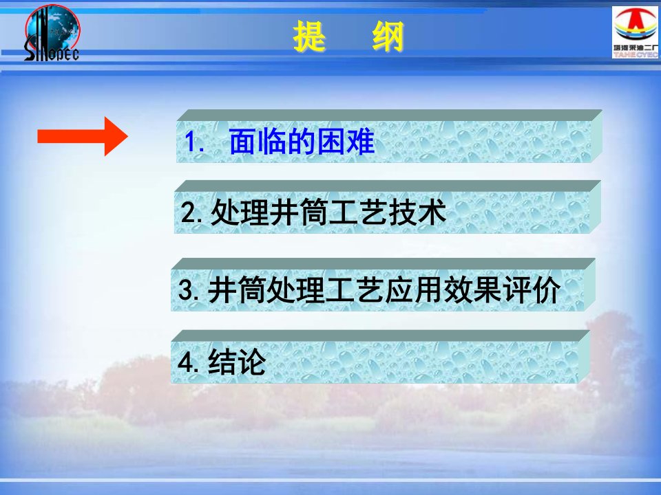 塔河油田稠油井井筒处理工艺技术浅析