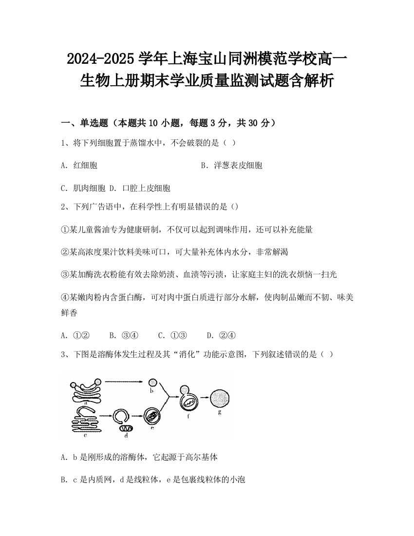 2024-2025学年上海宝山同洲模范学校高一生物上册期末学业质量监测试题含解析