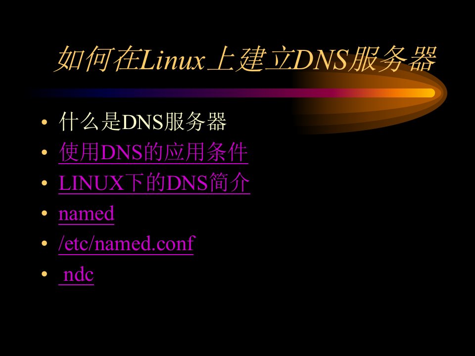 如何在Linux上建立DNS服务器