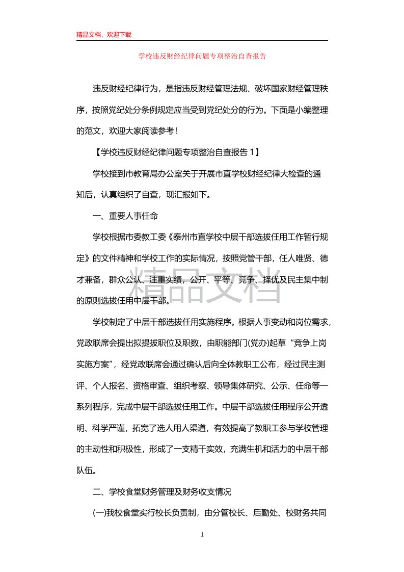 学校违反财经纪律问题专项整治自查报告