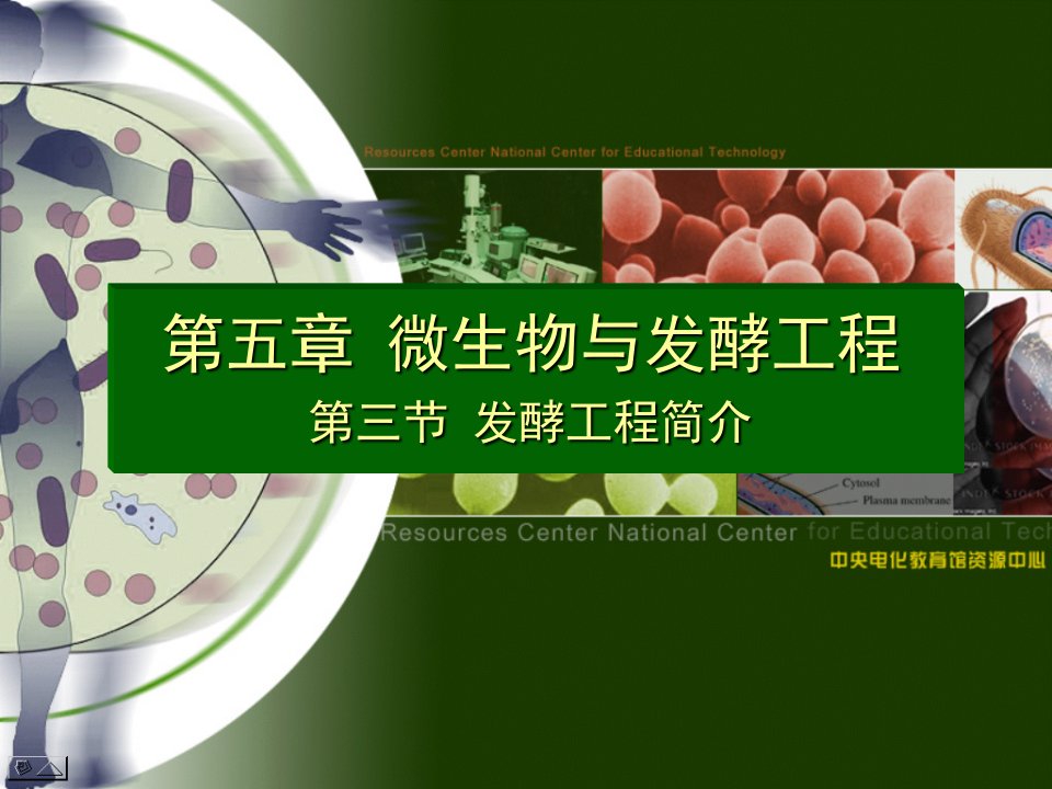 微生物与发酵工程公开课获奖课件省赛课一等奖课件