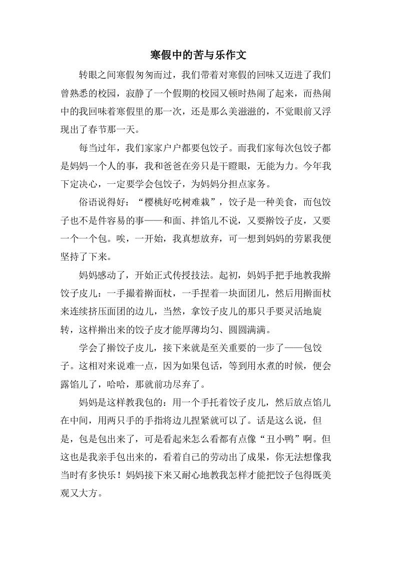 寒假中的苦与乐作文