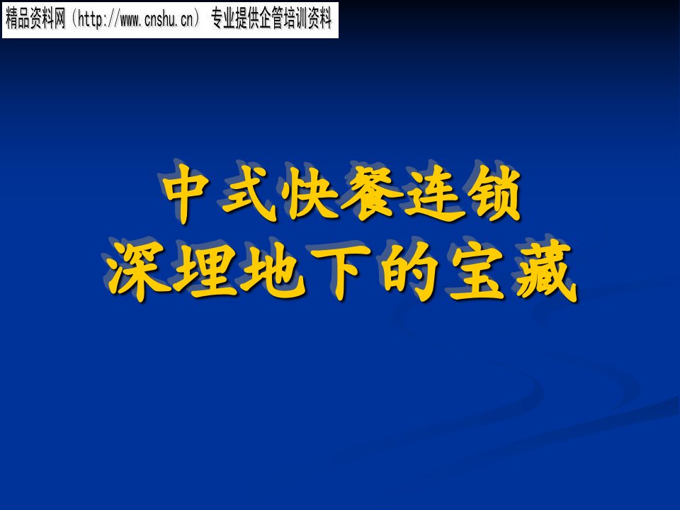 中式快餐连锁特许经营项目融资计划