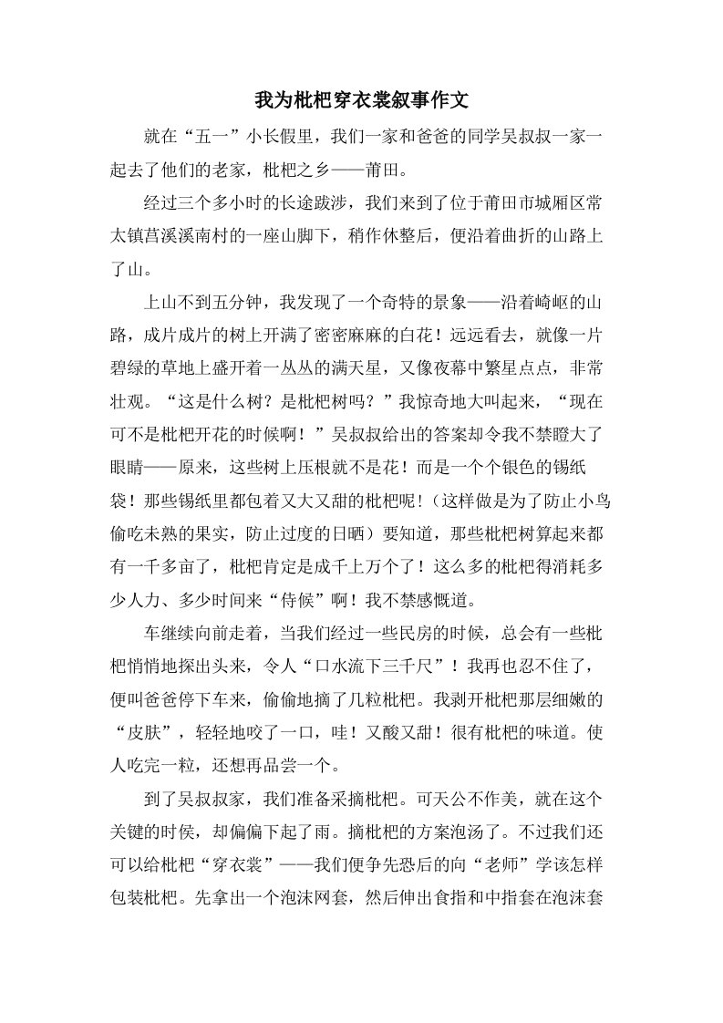 我为枇杷穿衣裳叙事作文