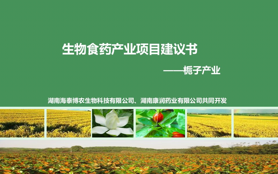 生物食药产业项目建议书(通用版)-栀子课件