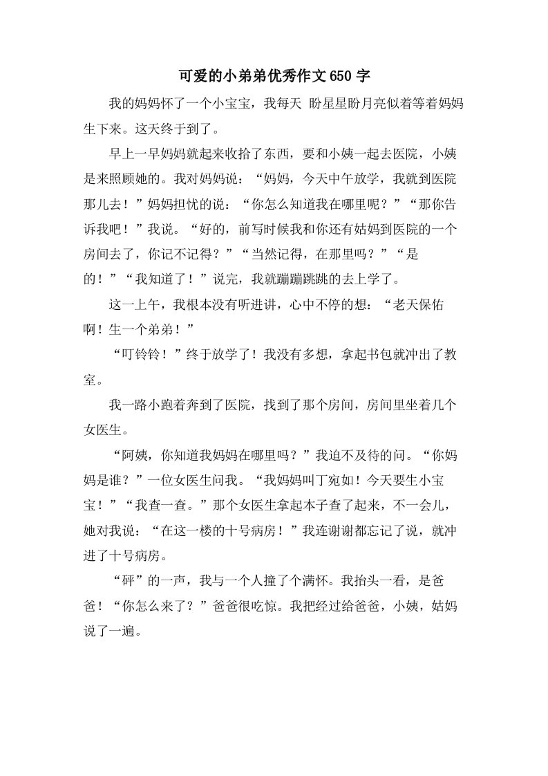 可爱的小弟弟作文650字