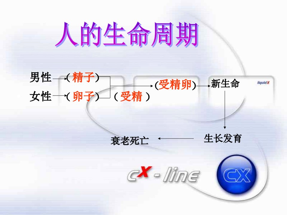 动物新老个体的更替