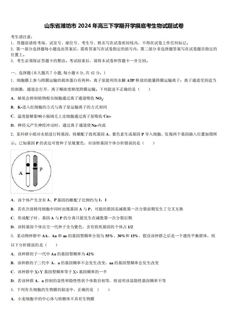 山东省潍坊市2024年高三下学期开学摸底考生物试题试卷含解析