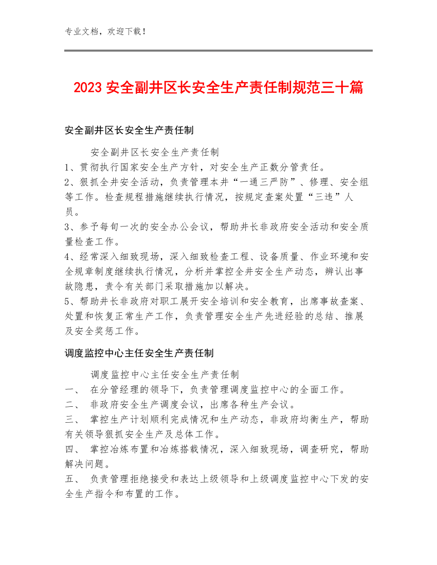 2023安全副井区长安全生产责任制规范三十篇