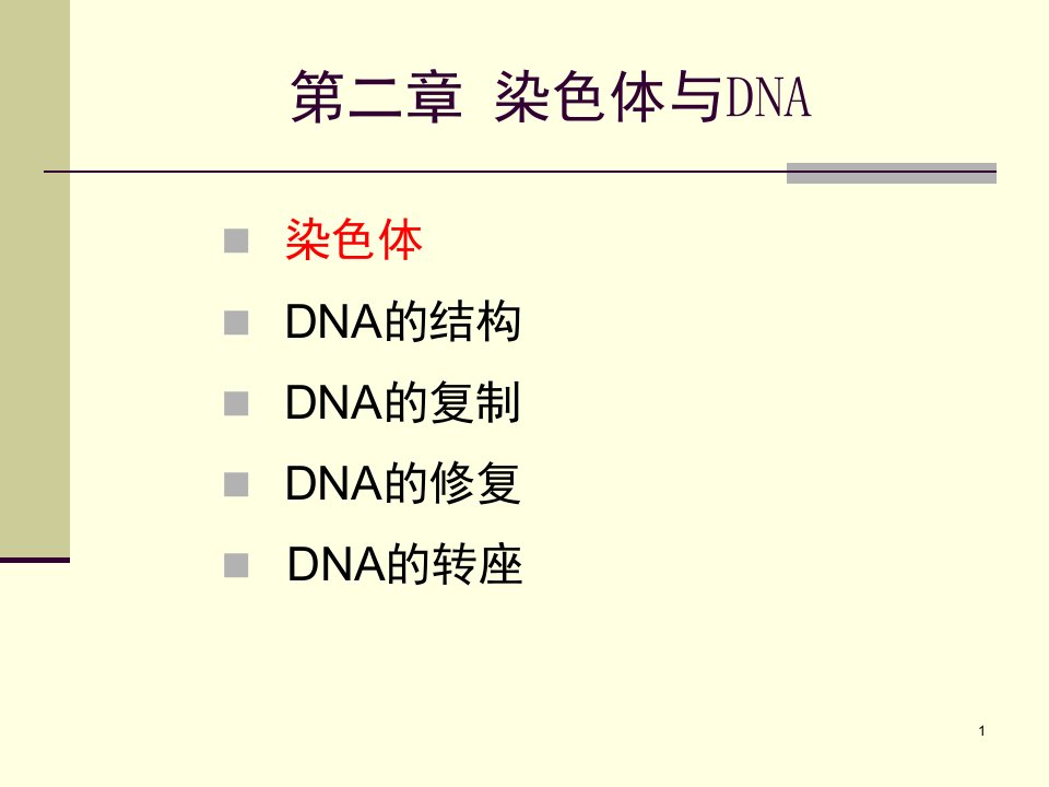 分子生物学PPT精品文档