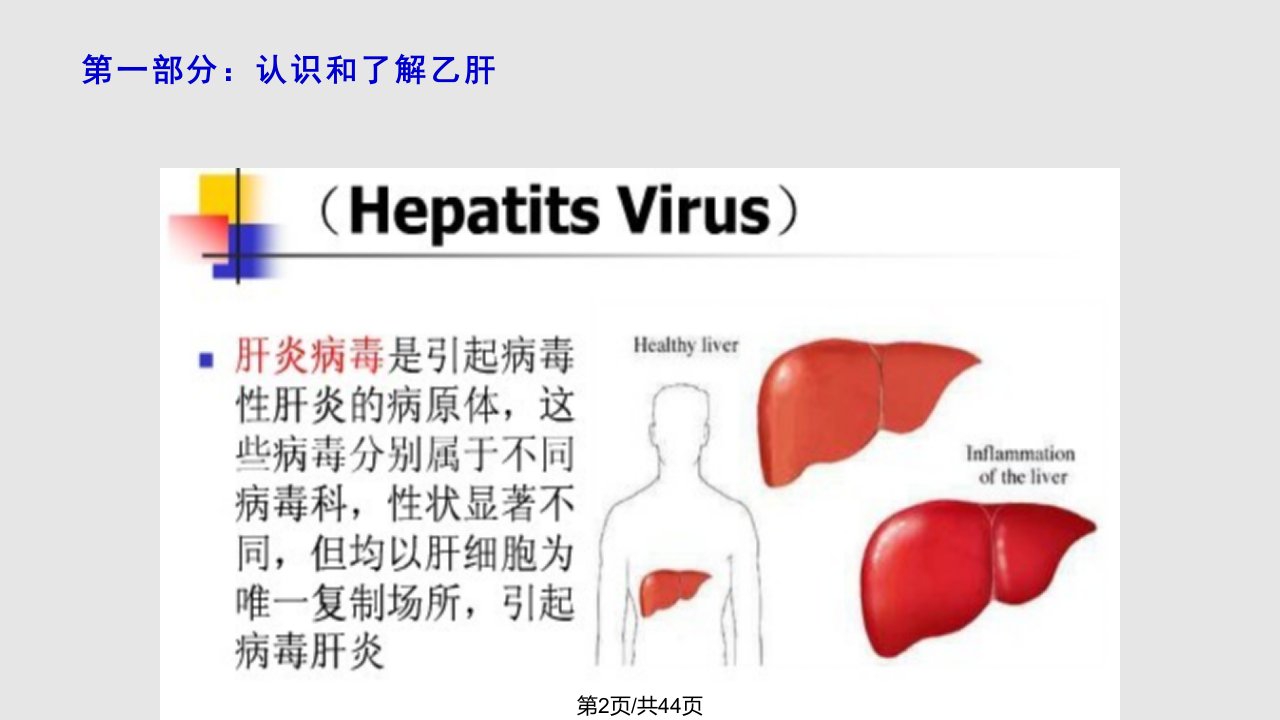 认识乙肝珍重生命