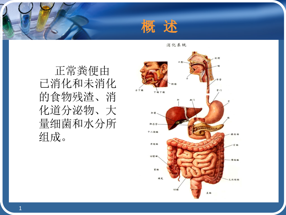 实验诊断学---粪便检查ppt课件