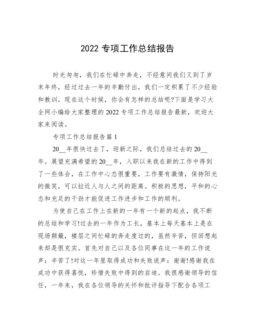 2022专项工作总结报告