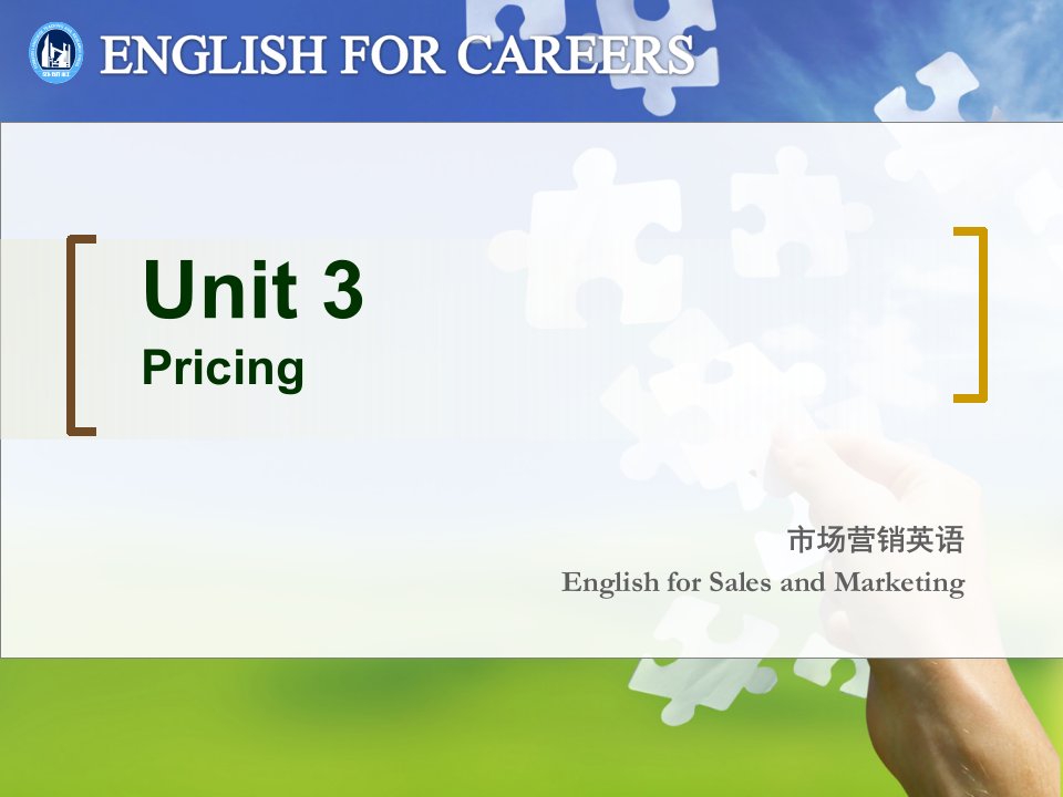 新职业英语市场营销英语unit3-pricing