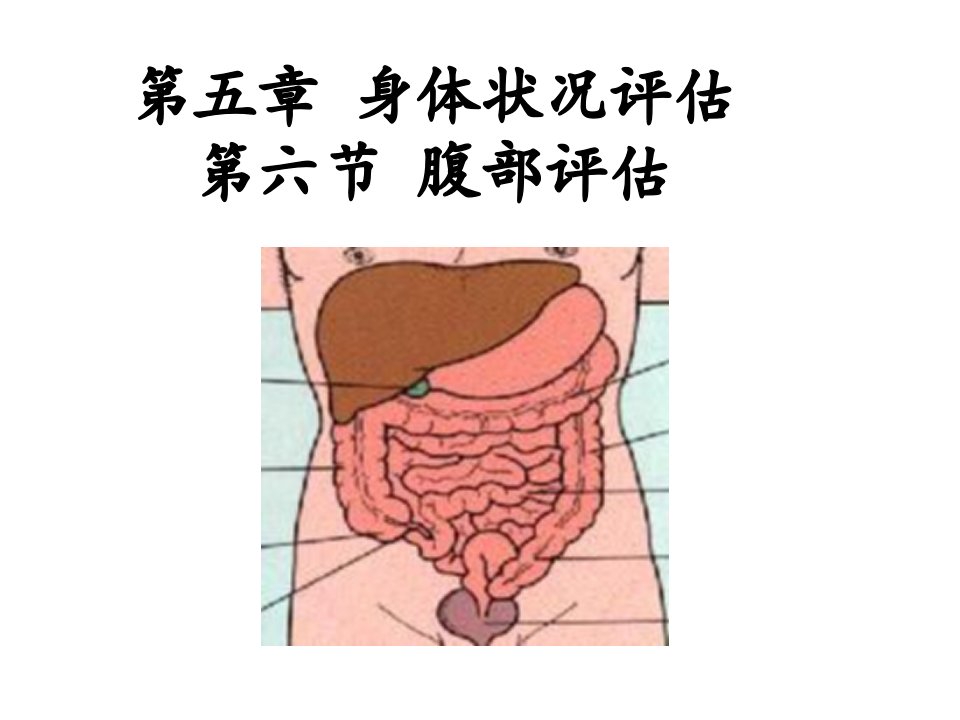 健康评估第五章身体状况评估第六节腹部评估公开