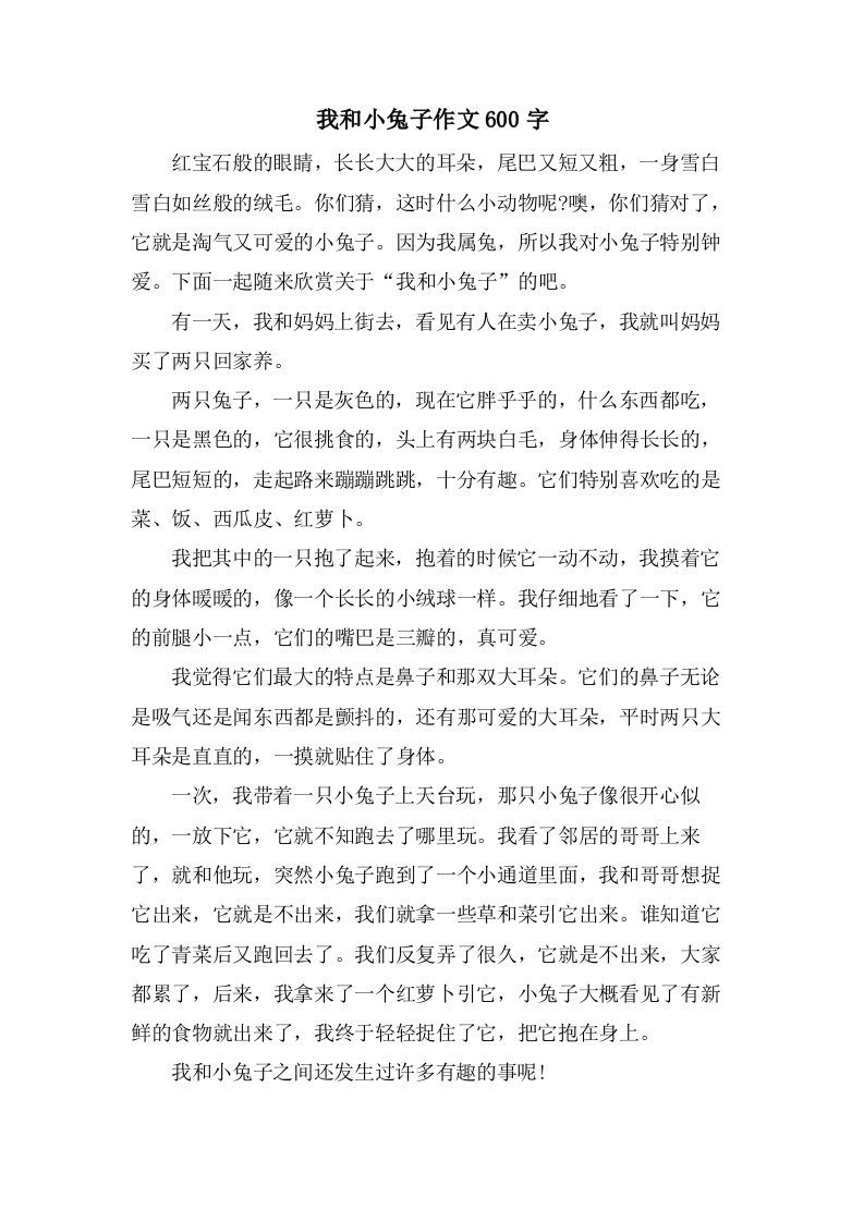 我和小兔子作文600字