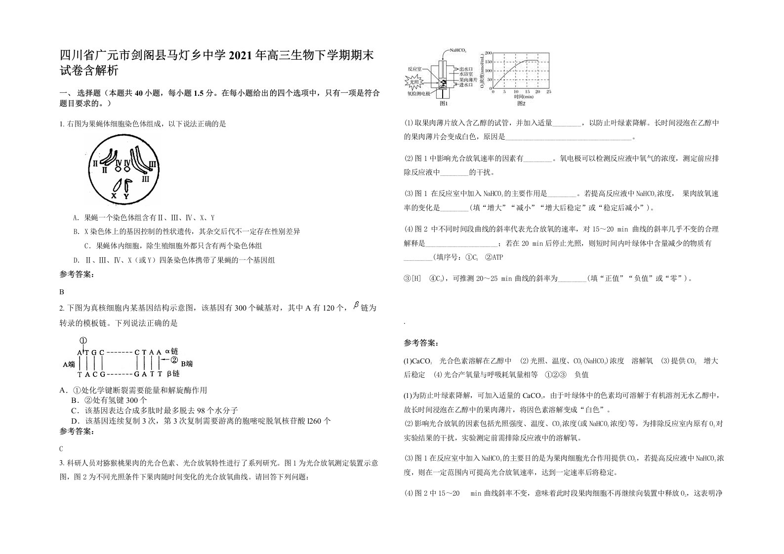 四川省广元市剑阁县马灯乡中学2021年高三生物下学期期末试卷含解析