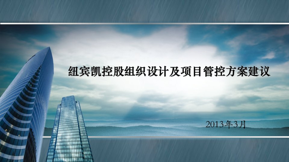 纽宾凯控股组织设计及管控方案建议