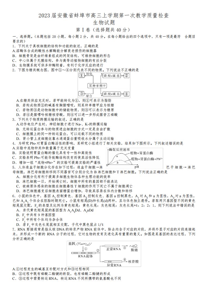 安徽省蚌埠市2022-2023学年高三上学期第一次教学质量检查生物试题