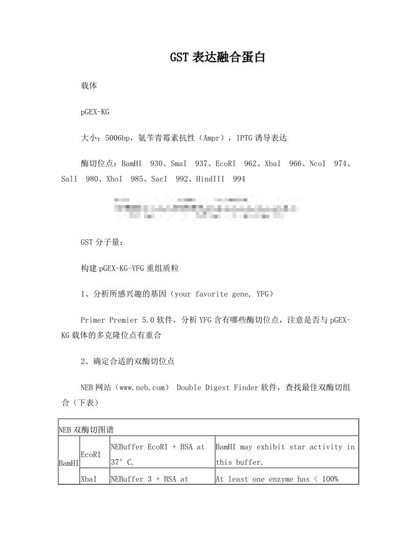 GST融合蛋白构建、表达与纯化