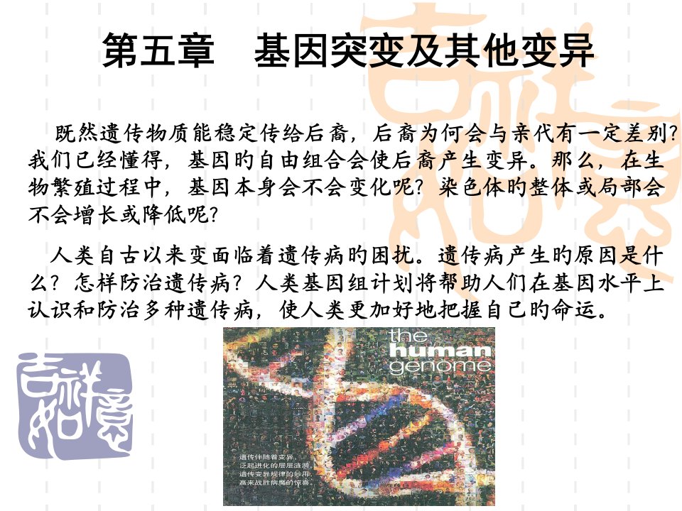 生物基因突变和基因重组新人教版必修公开课获奖课件省赛课一等奖课件