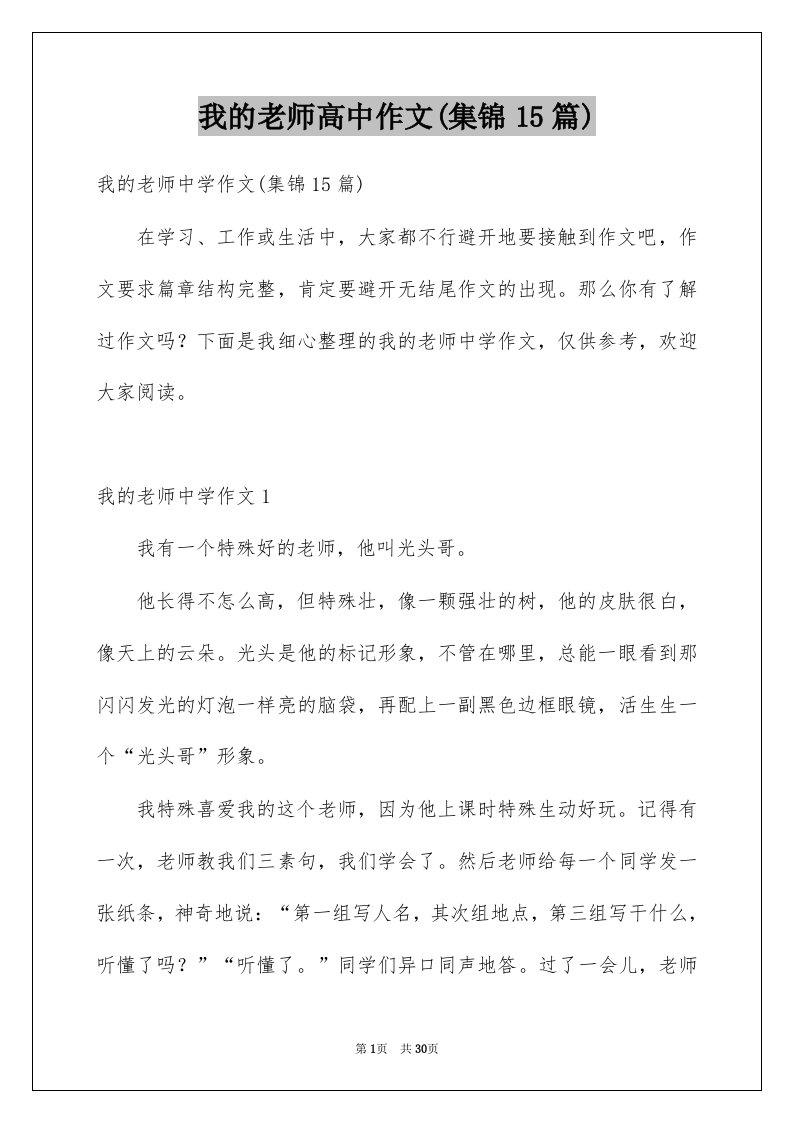 我的老师高中作文集锦15篇