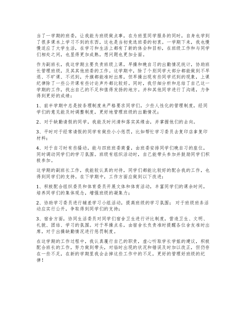 大一上学期副班长工作总结学期总结