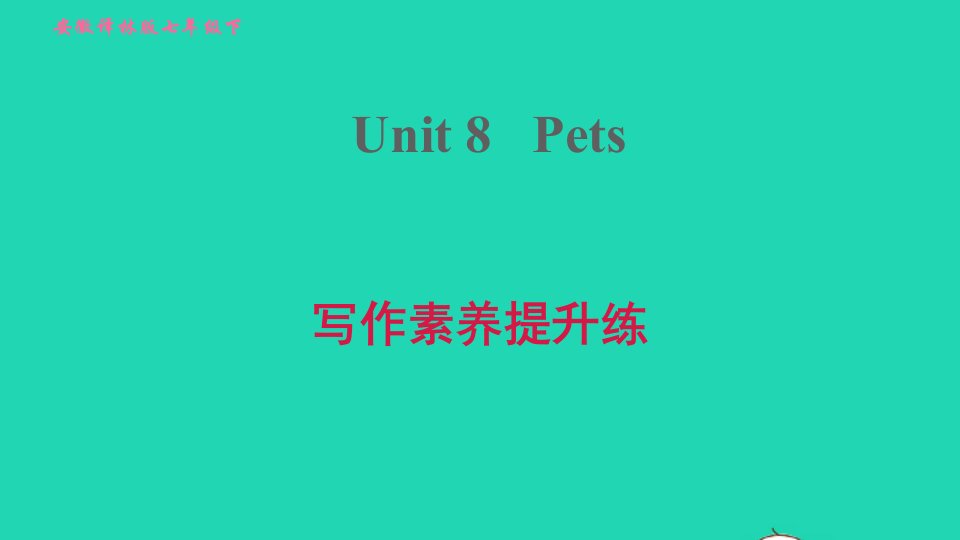 安徽专版2022春七年级英语下册Unit8Pets写作素养提升练课件新版牛津版