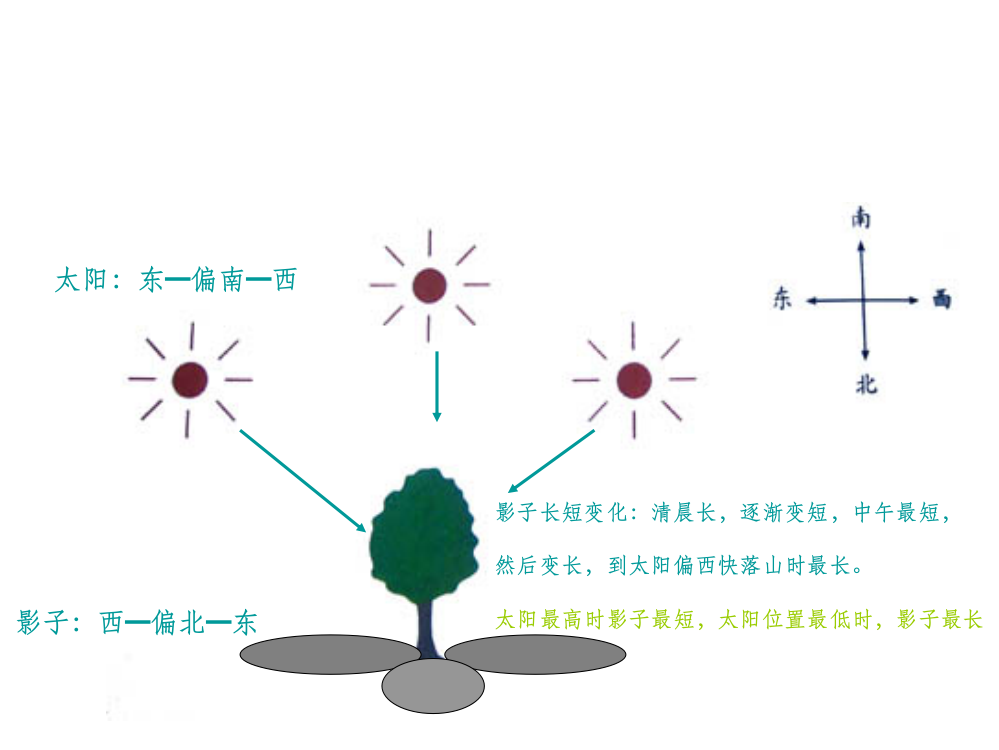 五年级上科学第二单元第三课光是怎样传播的