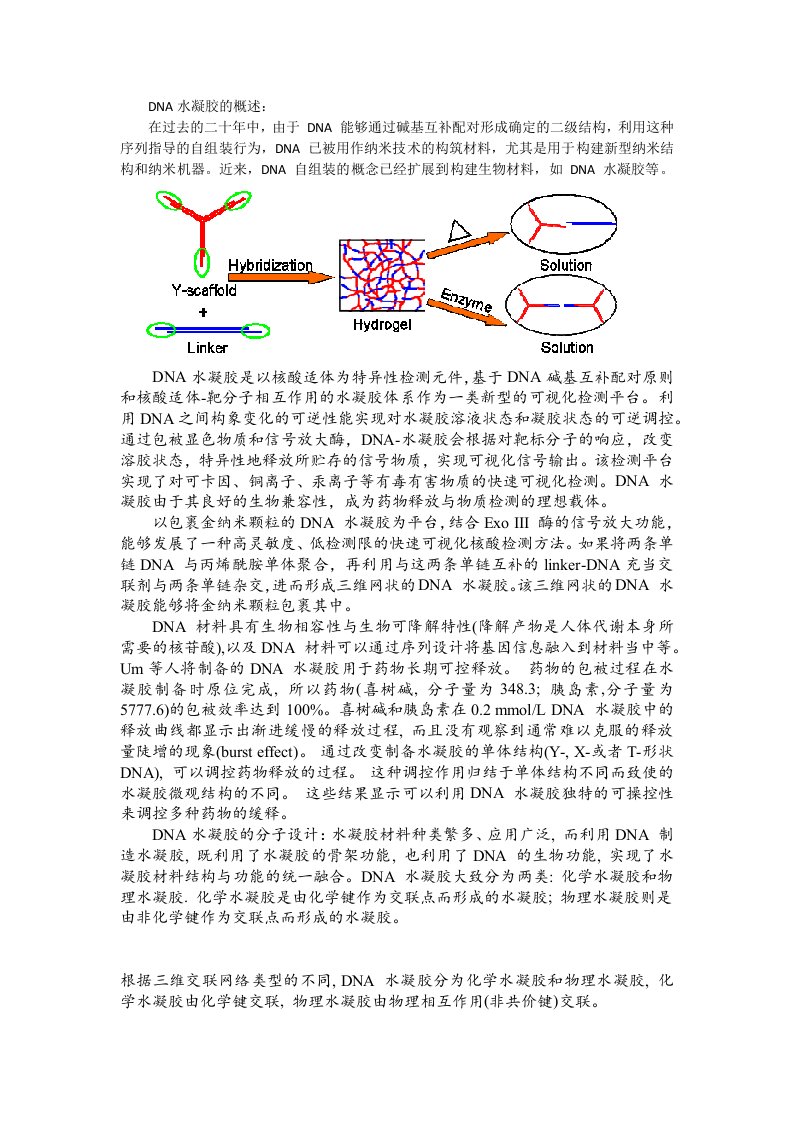 DNA水凝胶的概述