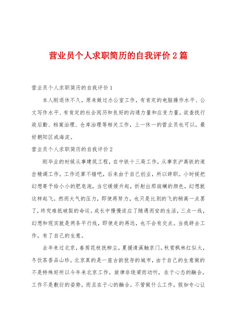 营业员个人求职简历的自我评价2篇