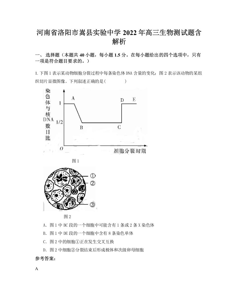 河南省洛阳市嵩县实验中学2022年高三生物测试题含解析