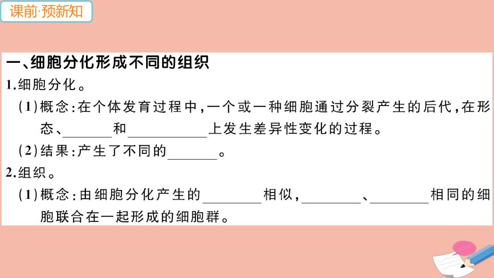 2021秋七年级生物上册第二单元生物体的结构层次第二章细胞怎样构成生物体第二节动物体的结构层次作业课件新版新人教版