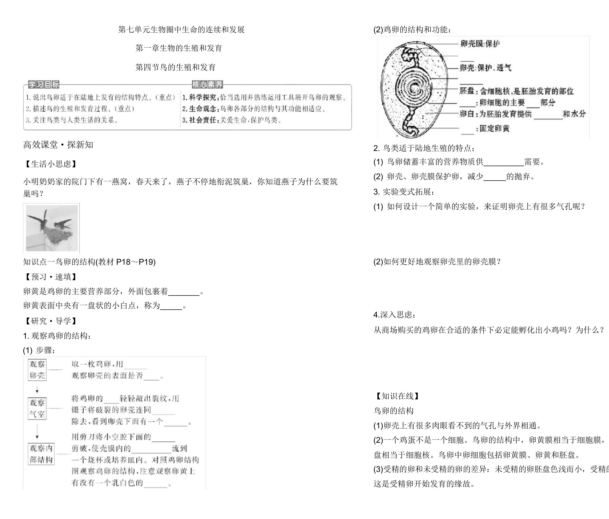 人教版八年级生物下册学案设计714鸟生殖和发育含