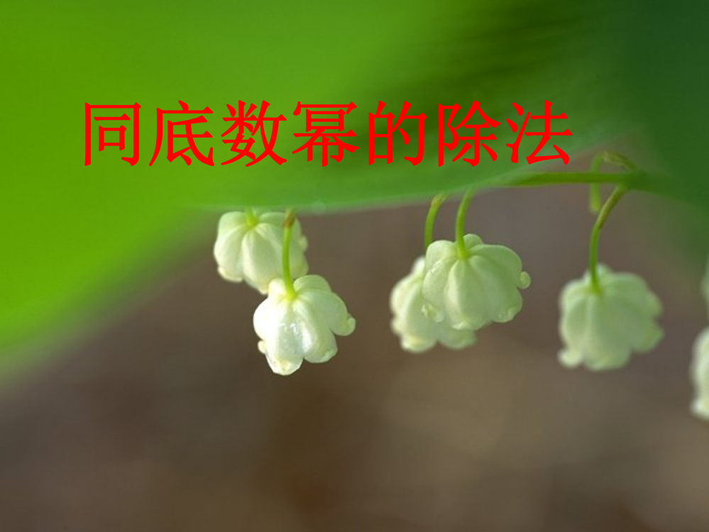 1414同底数幂的除法课件