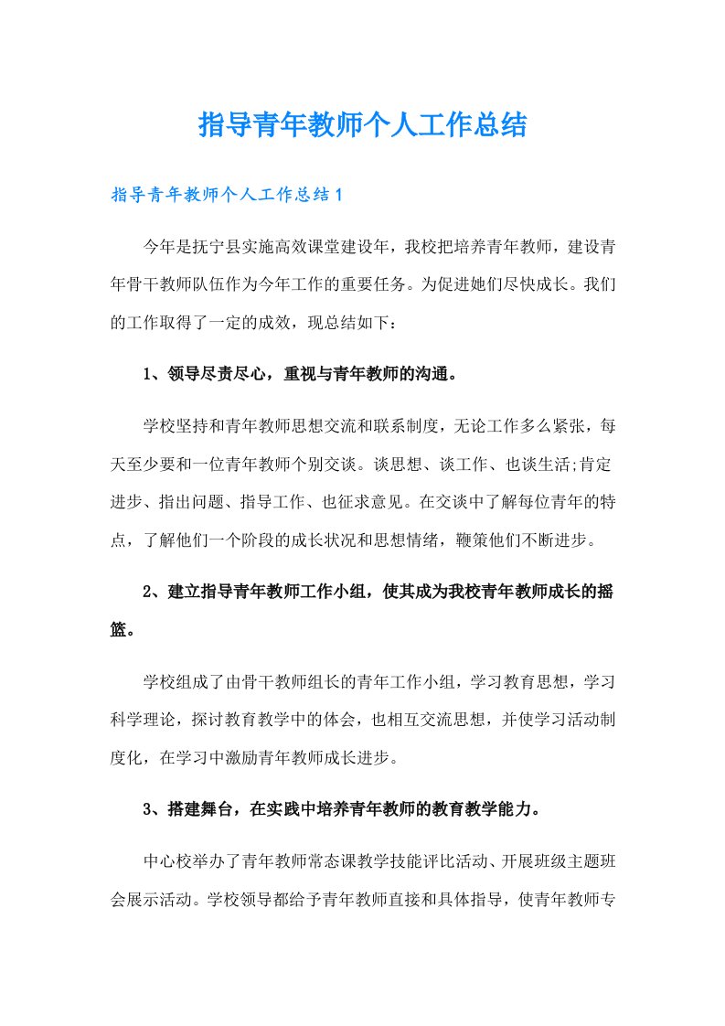 指导青年教师个人工作总结