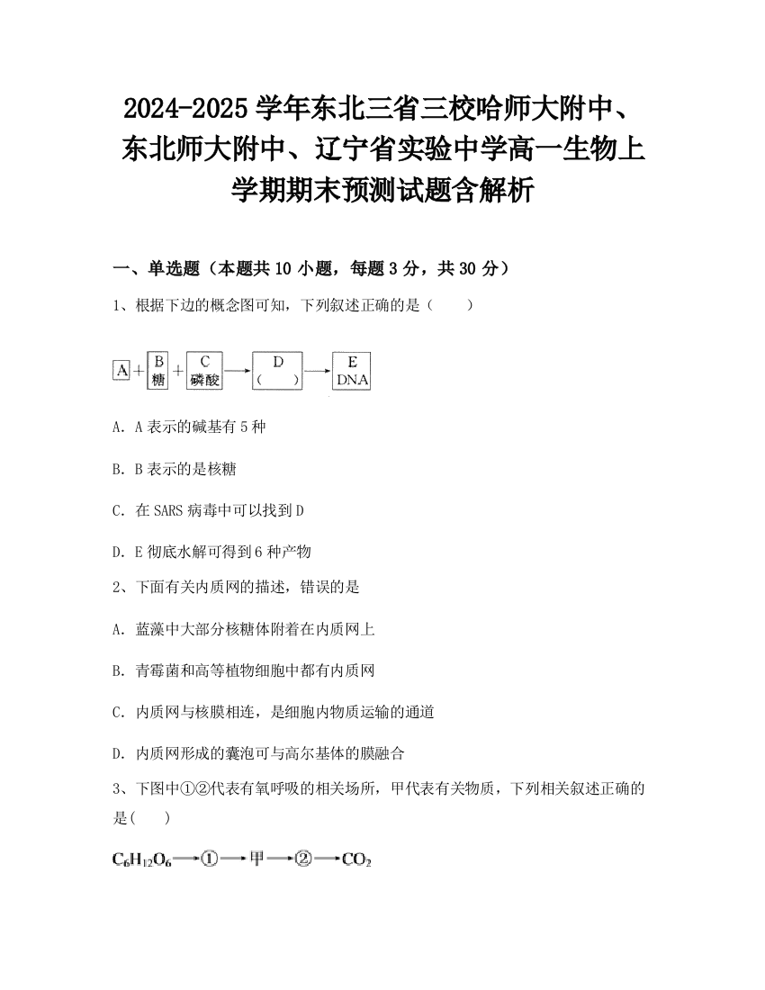 2024-2025学年东北三省三校哈师大附中、东北师大附中、辽宁省实验中学高一生物上学期期末预测试题含解析