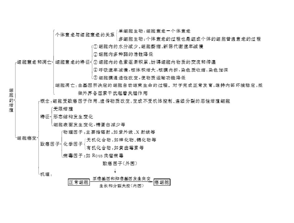 原创随堂优化训练生物新课标人教版必修一第6章本章知识提升配套课件