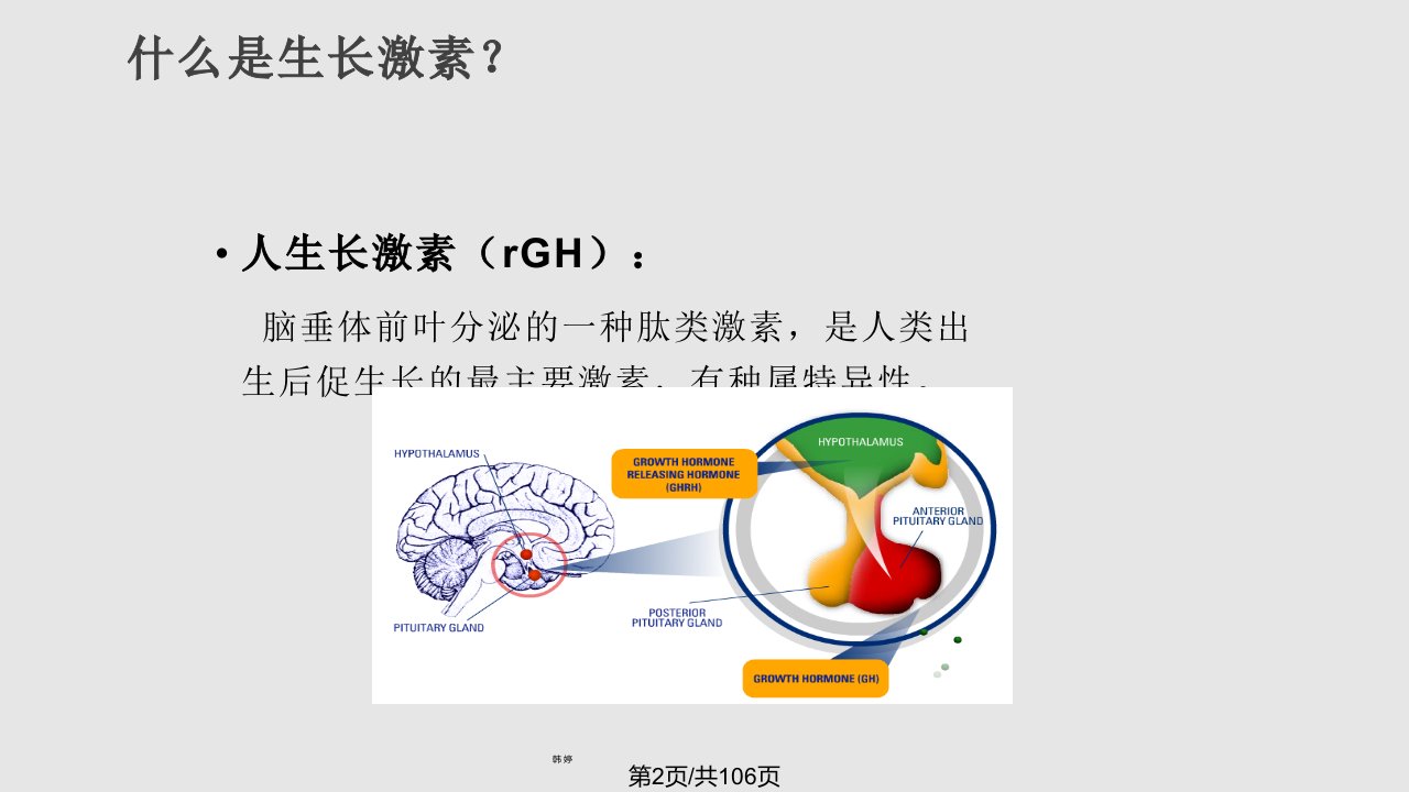 生长激素知识