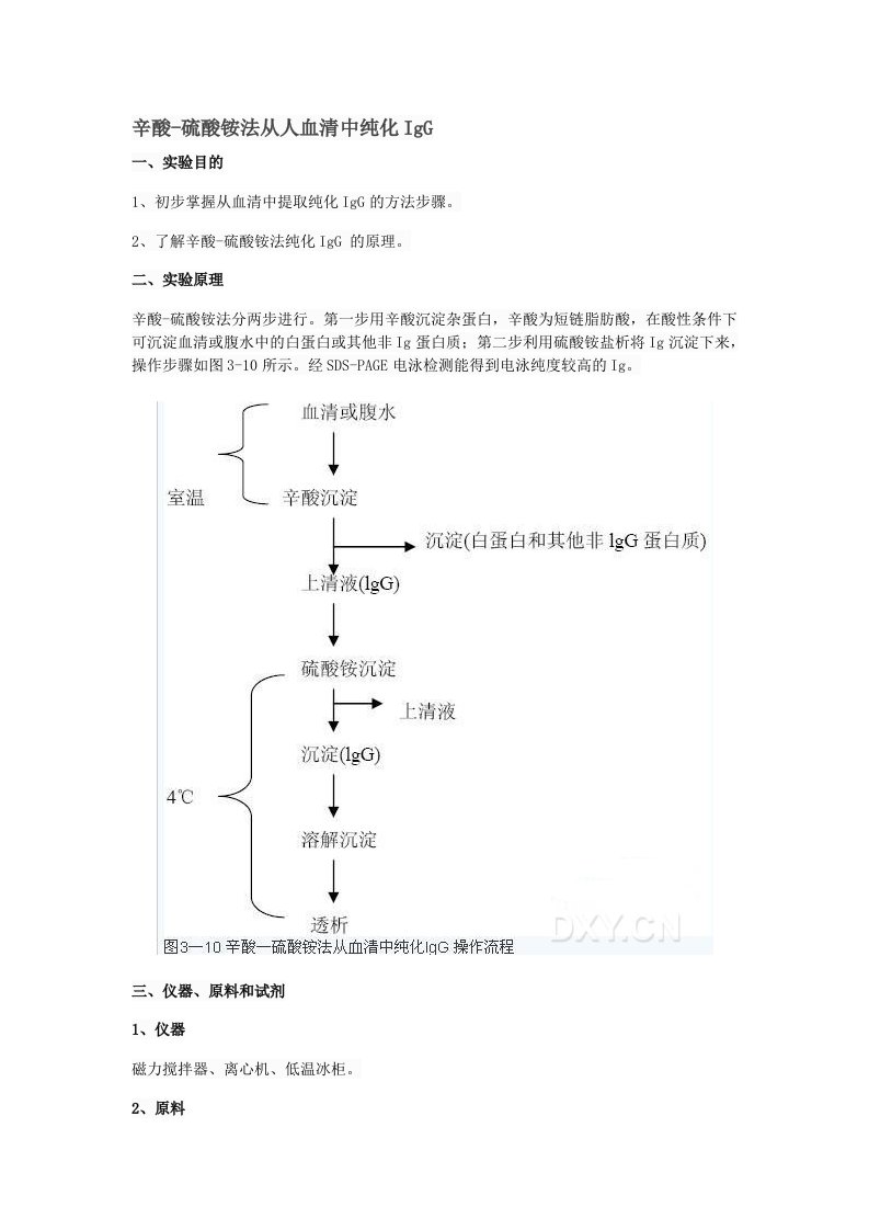 辛酸硫酸铵纯化抗体