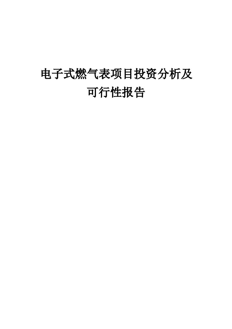 电子式燃气表项目投资分析及可行性报告