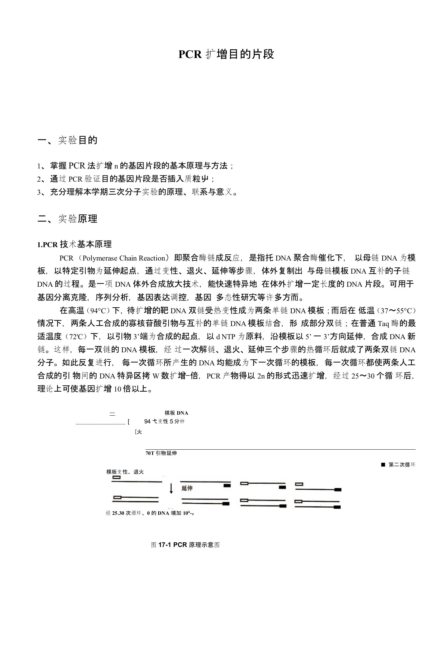 PCR扩增目的片段分子生物学实验