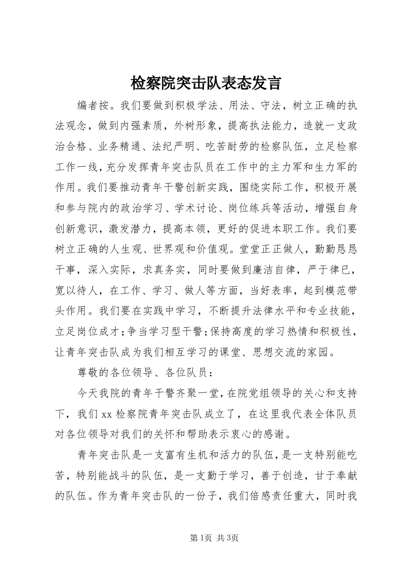 检察院突击队表态发言