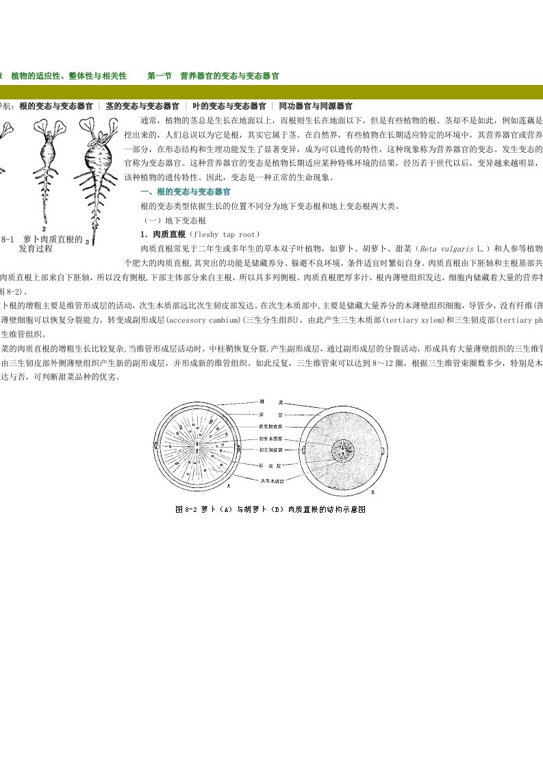 第八章