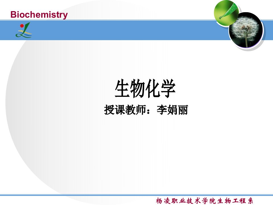 第8章核酸的生物合成课件